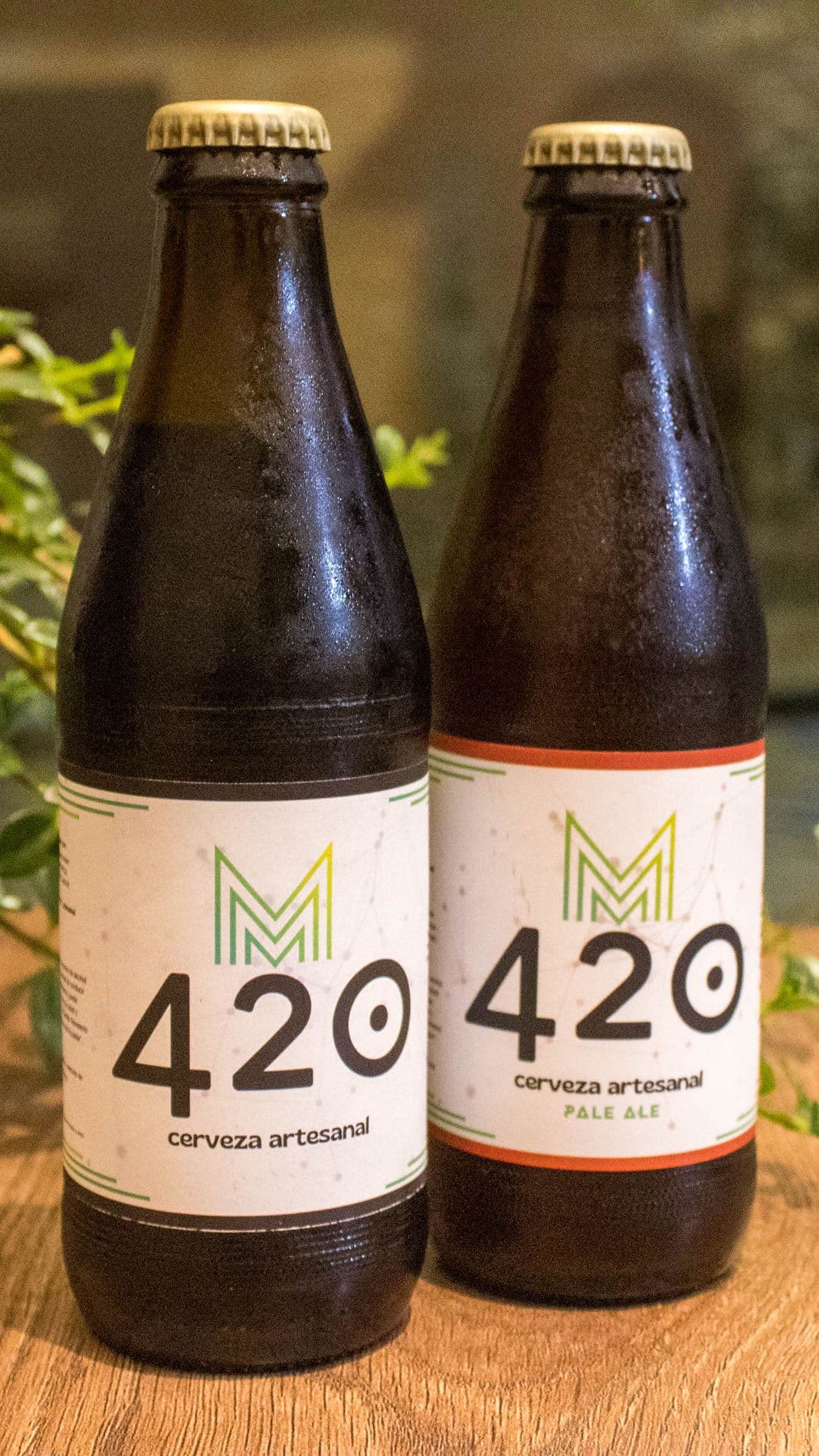 420 CERVEZA ARTESANAL (Pale Ale)